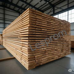 IMG 20250622 WA0060(1)